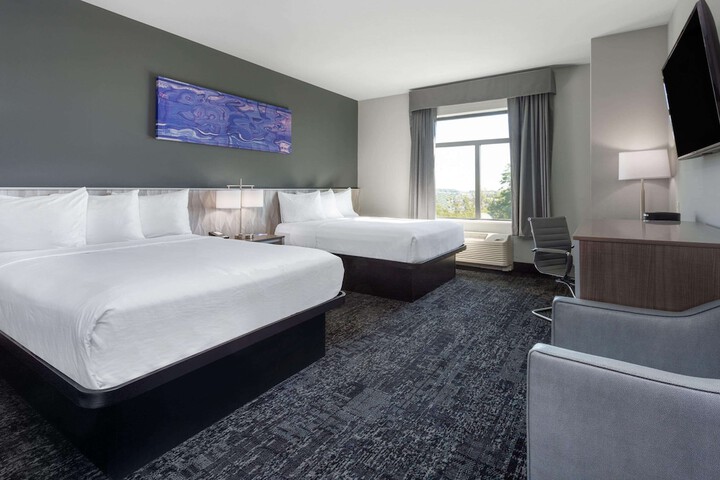 2 Queen Beds Pet Friendly (6 of 13)