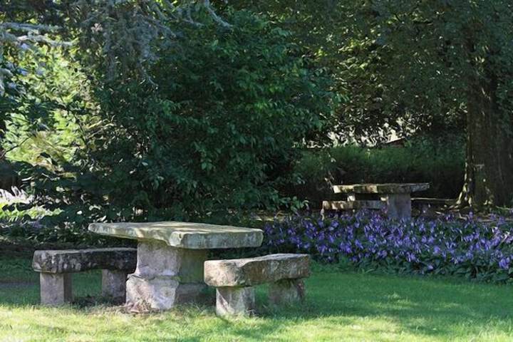 BBQ/picnic area