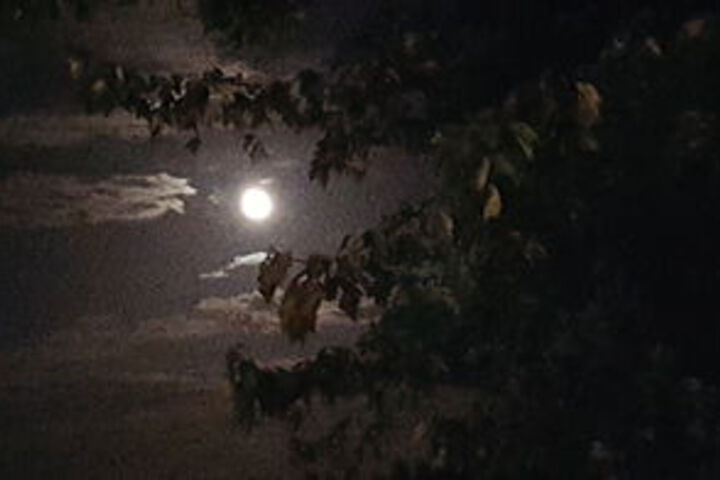 Hotel Exterior 23 of 126