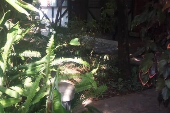 Property Grounds 41 of 51