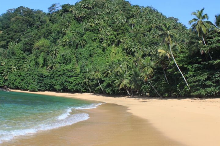 Beach 33 of 39