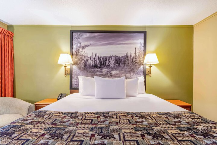 1 King Bed (11 of 18)