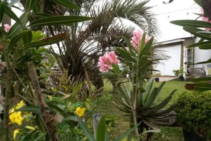 Pousada Das Rosas