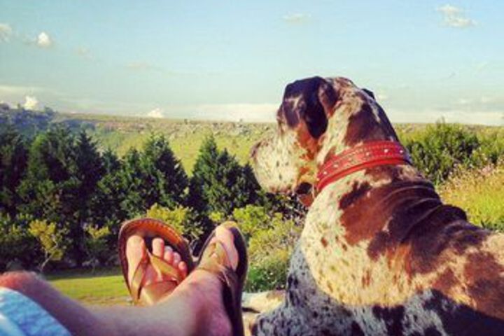 Property Grounds 41 of 49