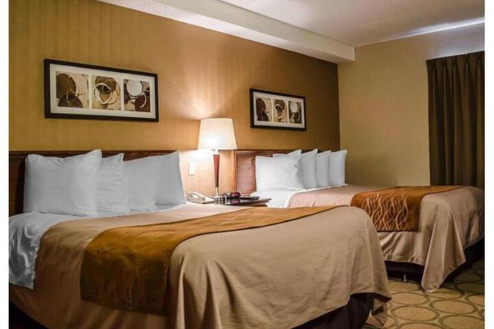 1 King Bed (3 of 8)