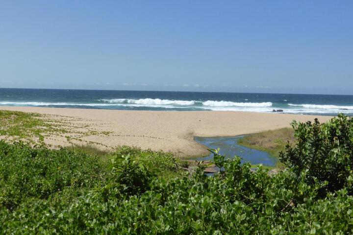 General 61 of 87