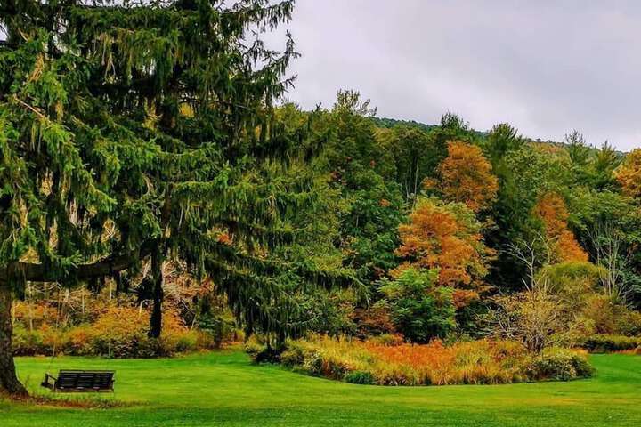 Property Grounds 25 of 32