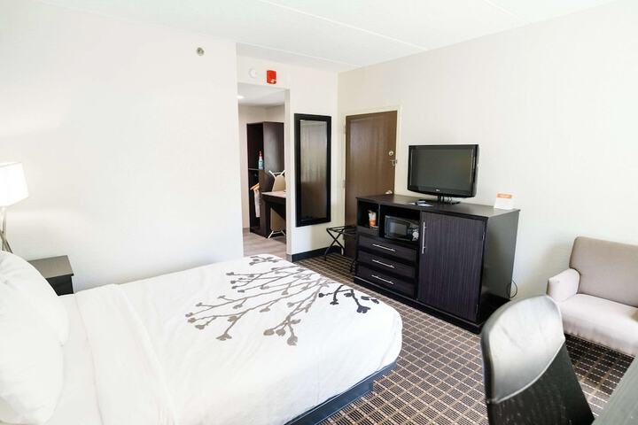 1 Queen Bed Accessible (16 of 31)