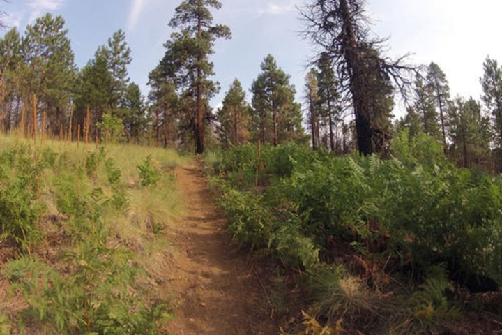 Outdoor Activities 12 of 25