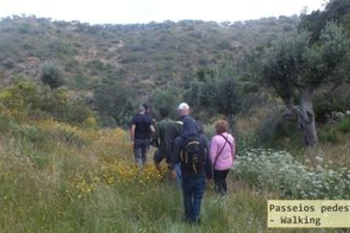 Outdoor Activities 9 of 60