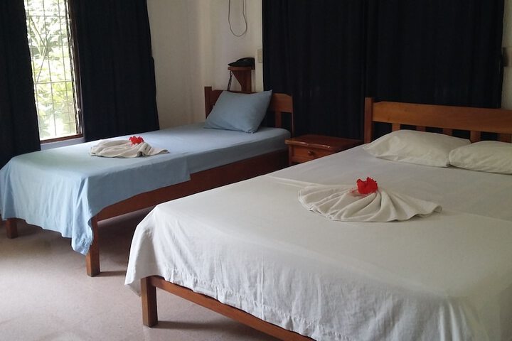 Room 16 of 43