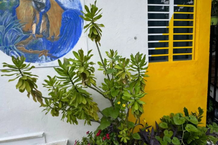 Photo of Casita Natural Village #4