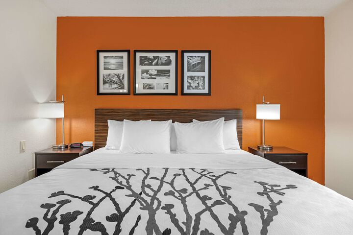1 King Bed (4 of 10)
