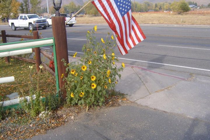 Property Grounds 30 of 41