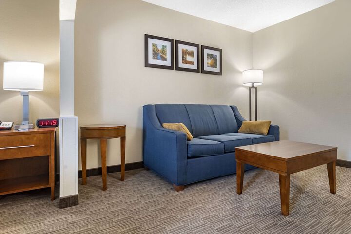1 King Bed Suite (1 of 10)