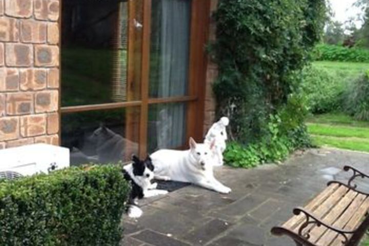 Terrace/Patio 24 of 25