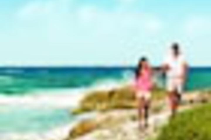 Beach 308 of 342