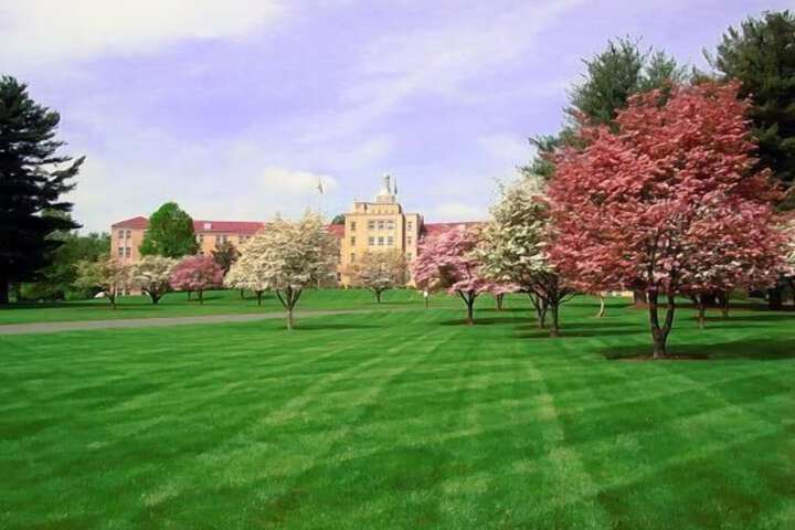 Property Grounds 45 of 58