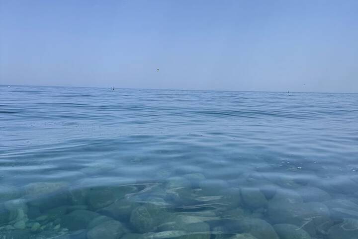 Beach 102 of 169