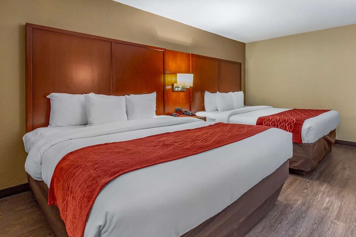 2 Queen Beds (1 of 7)