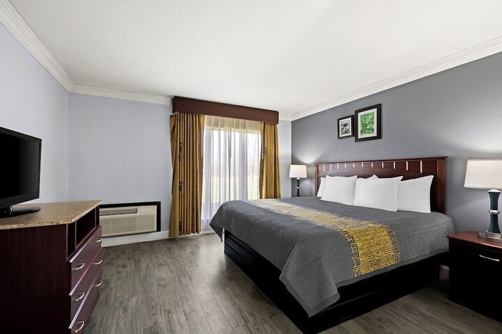 Standard | King Bed (3 of 14)