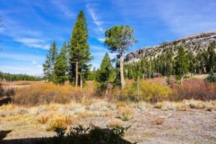 Property Grounds 20 of 20