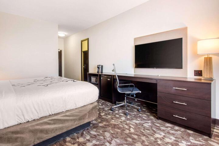 1 King Bed (12 of 17)