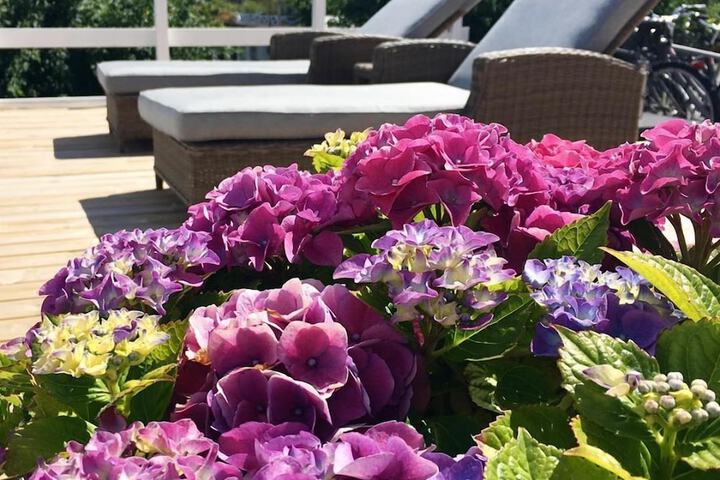 Sundeck 49 of 55