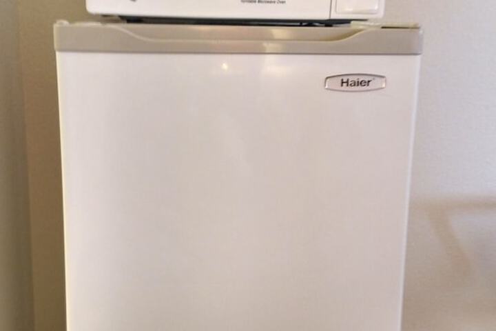 Mini-refrigerator
