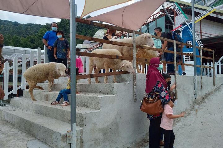 Children's area