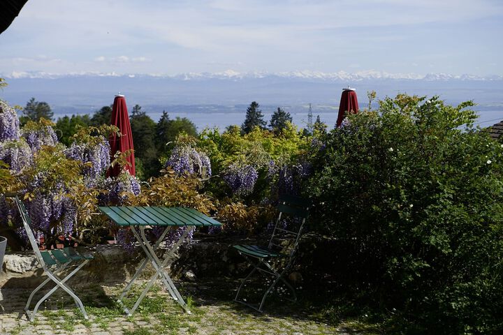Terrace/Patio 33 of 41