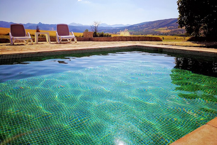 Pool 38 of 79