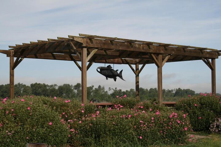 BBQ/picnic area