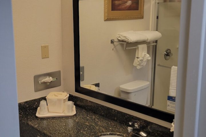 1 King Bed Suite (5 of 21)
