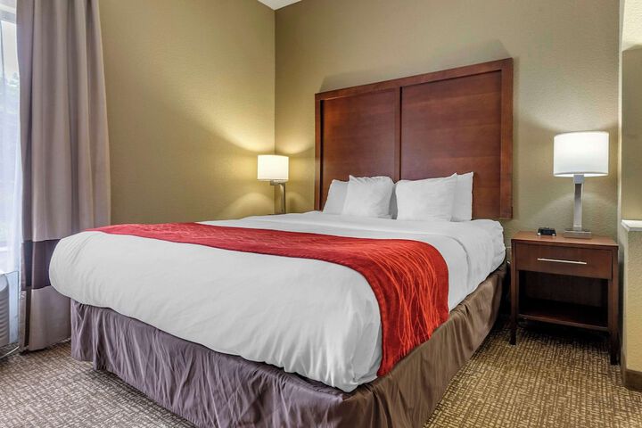 Standard King Bed Accessible (5 of 14)