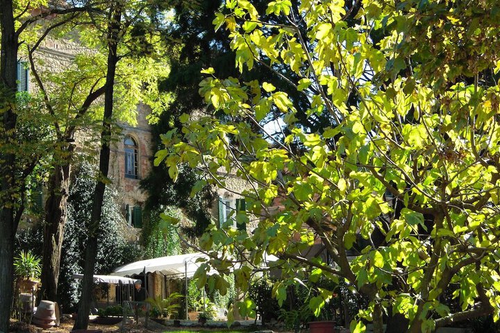 Photo 8
