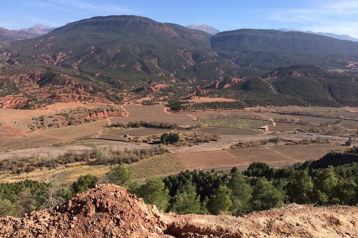 General 231 of 233