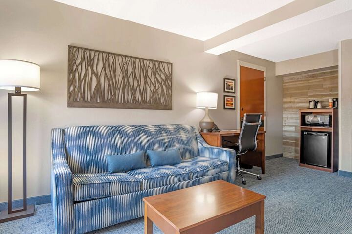 1 King Bed Suite (2 of 21)