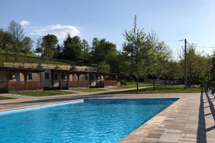 Pool 8 of 13