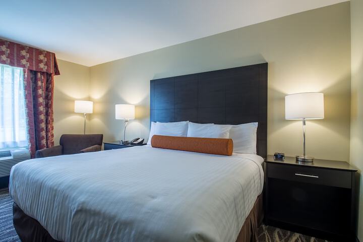 1 King Bed Accessible (9 of 17)