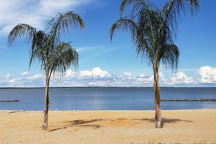 Beach 48 of 53