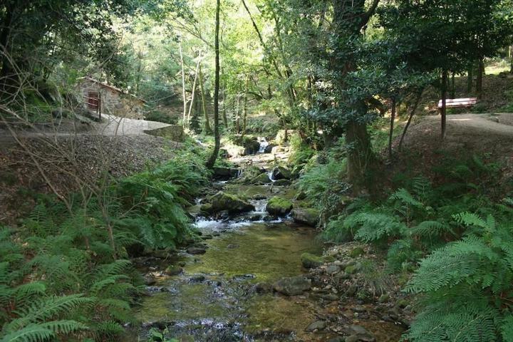 Property Grounds 21 of 26
