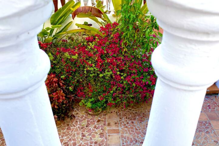Balcony view