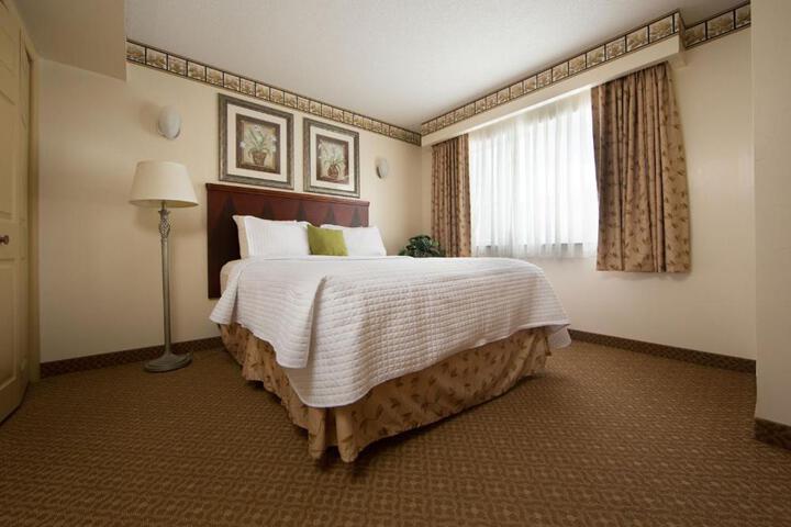 1 Bedroom Efficiency 2 Queen Beds Sofa (5 of 6)
