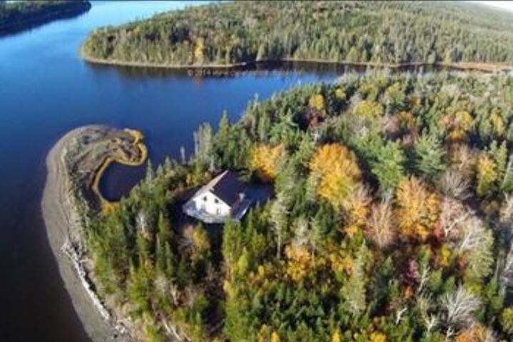 Image of Yellownose House