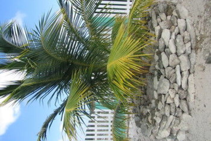 Hotel Exterior 8 of 37