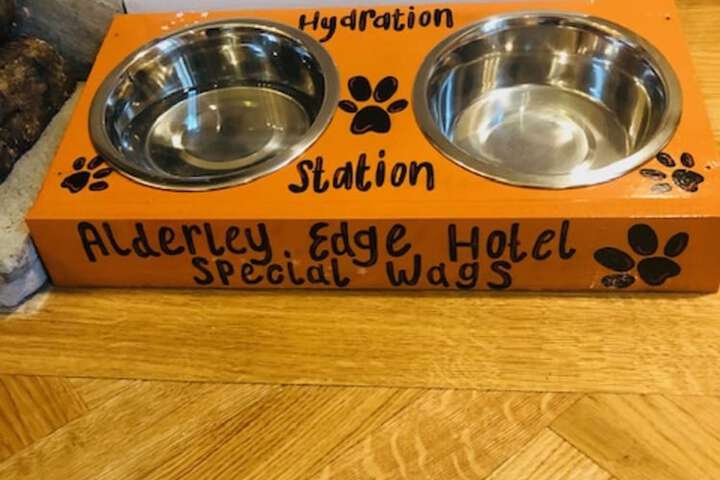 Pet Friendly 54 of 94