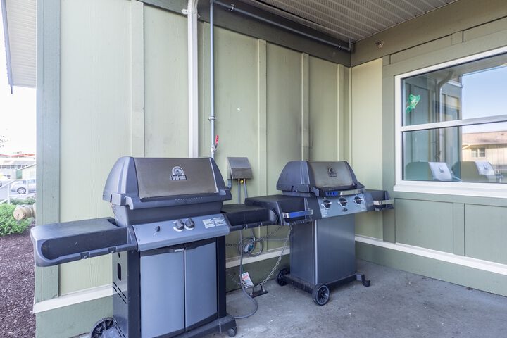 BBQ/picnic area