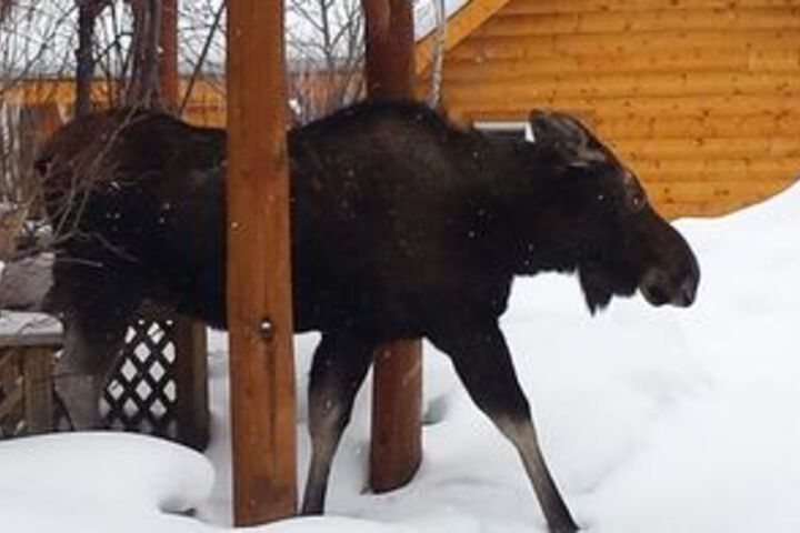 Hotel Exterior 7 of 91