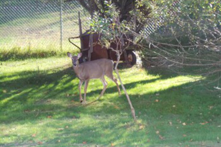 Property Grounds 229 of 246